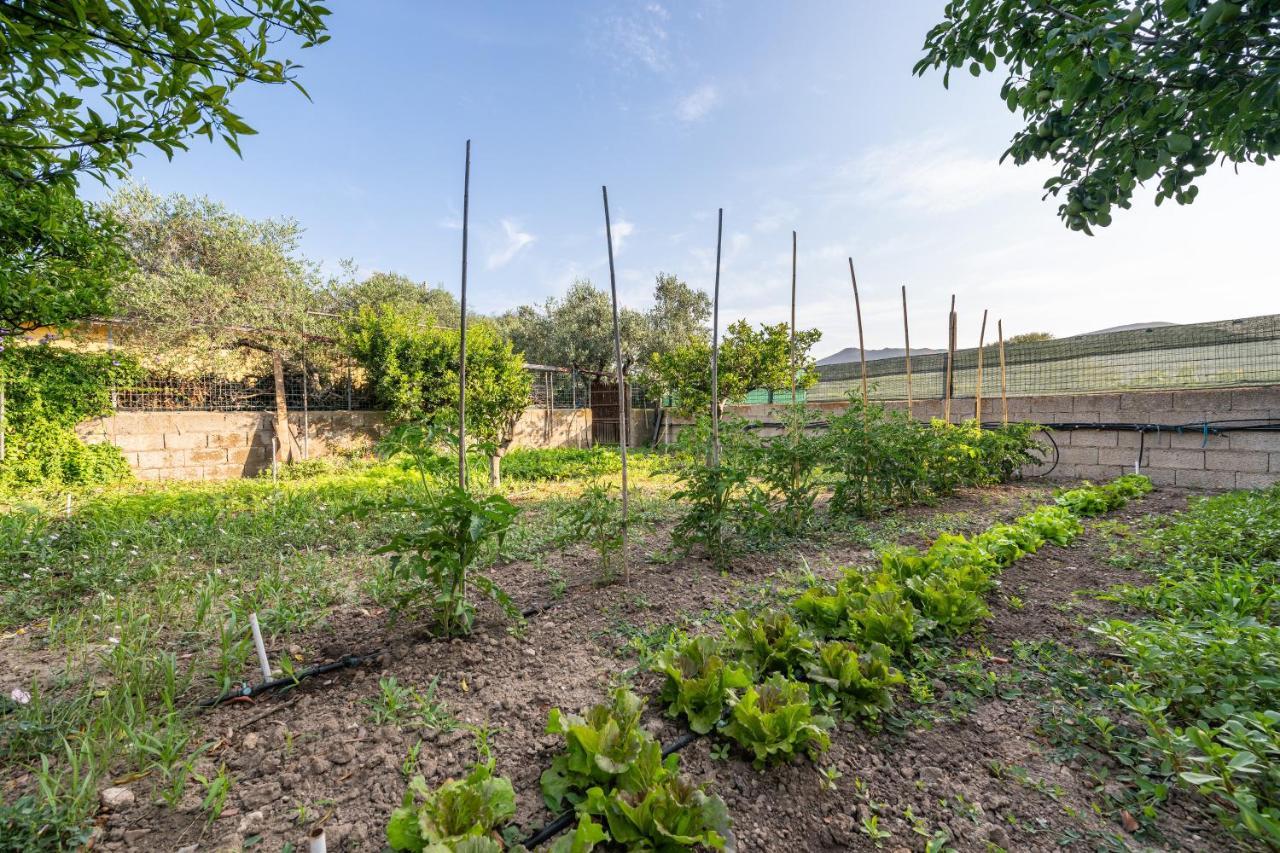 Casa Vacanze San Giovanni San Giovanni Suèrgiu Eksteriør bilde